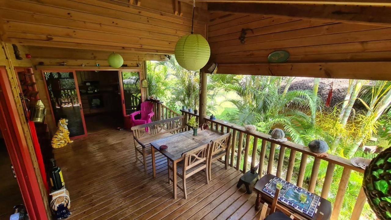B & Bee Wild Island - Nature Song Fare Luaran gambar
