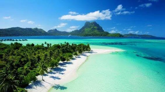 B & Bee Wild Island - Nature Song Fare Luaran gambar