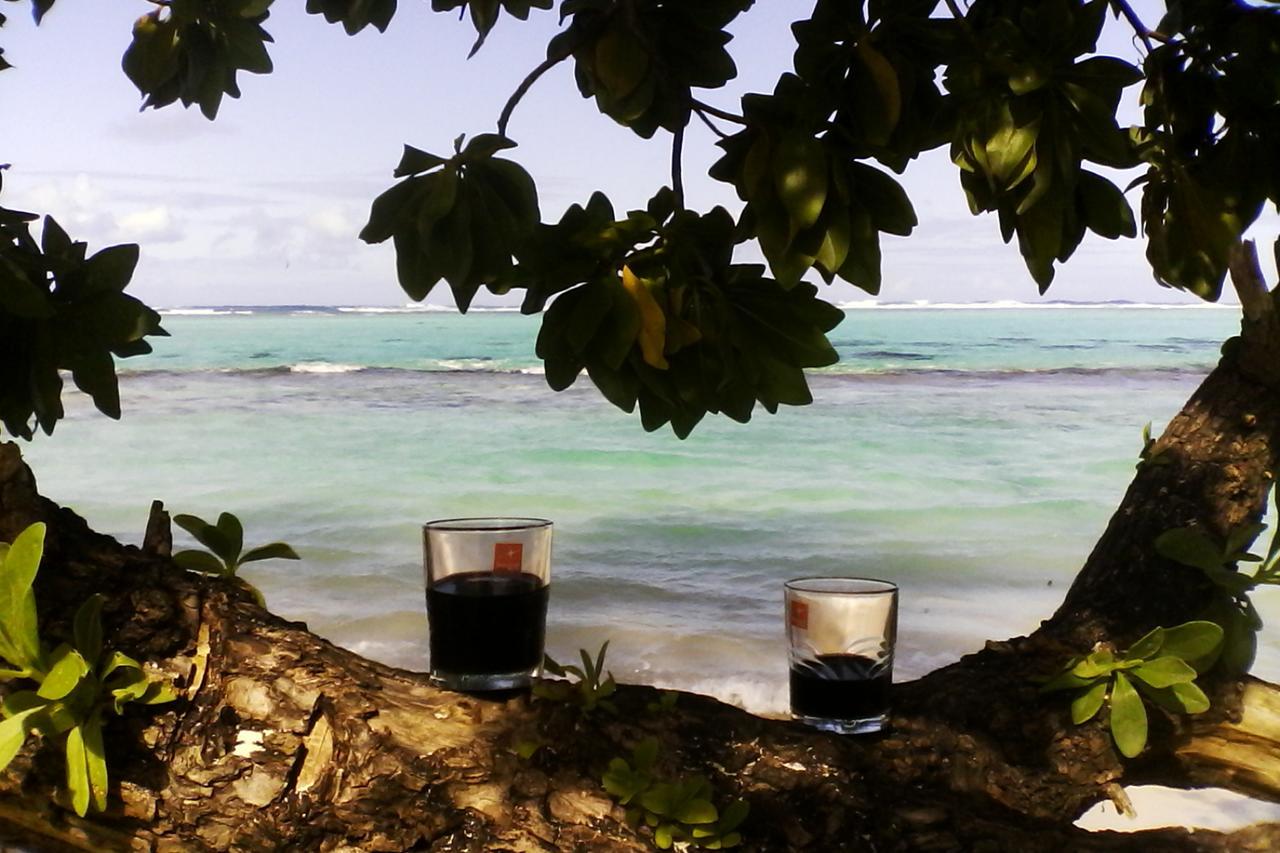B & Bee Wild Island - Nature Song Fare Luaran gambar