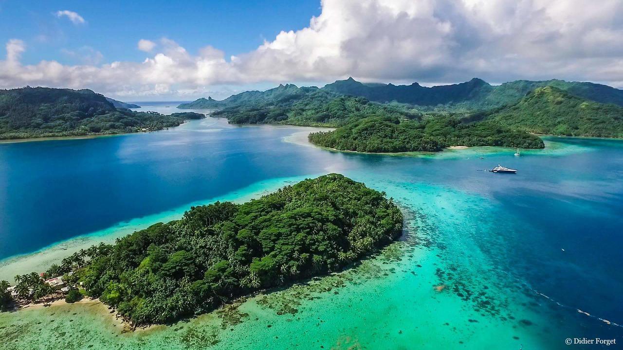 B & Bee Wild Island - Nature Song Fare Luaran gambar